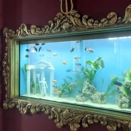 acuarios de acuarios hispania 005 12a40a3d