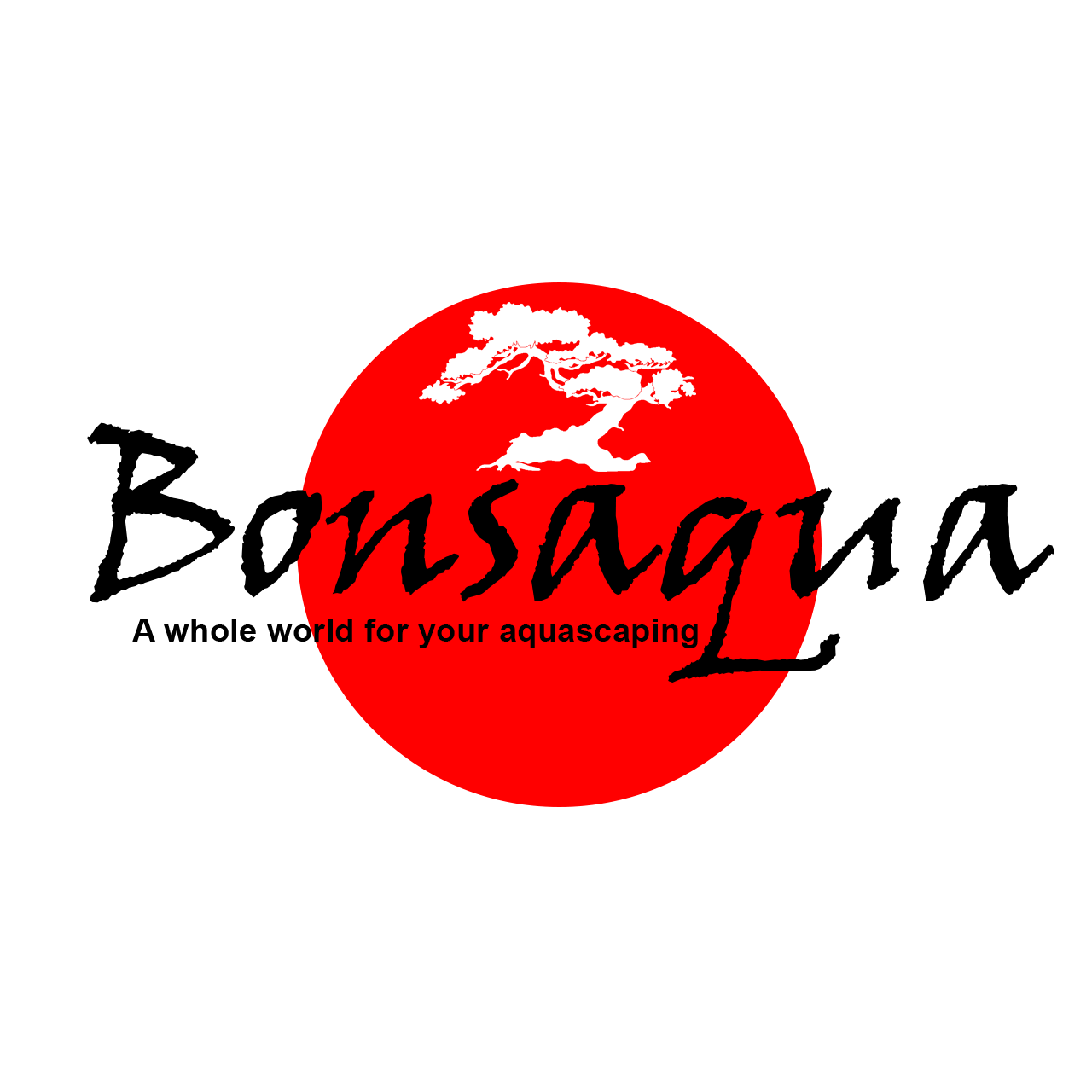 Bonssaqua