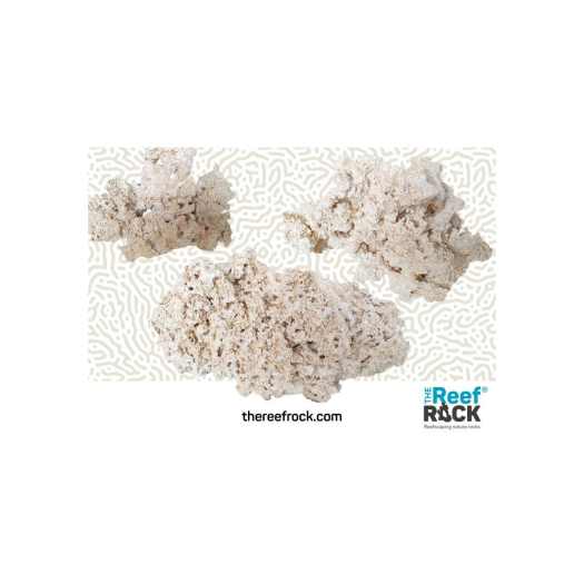 the reef rock ccbc158e