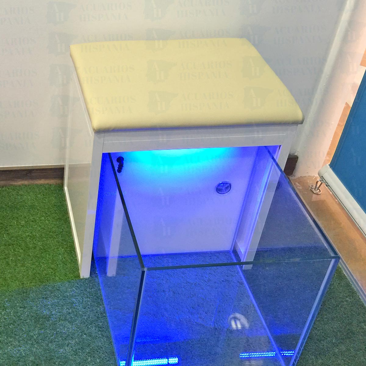 Garra Rufa 1 plaza 1 Garra Rufa 1 plaza